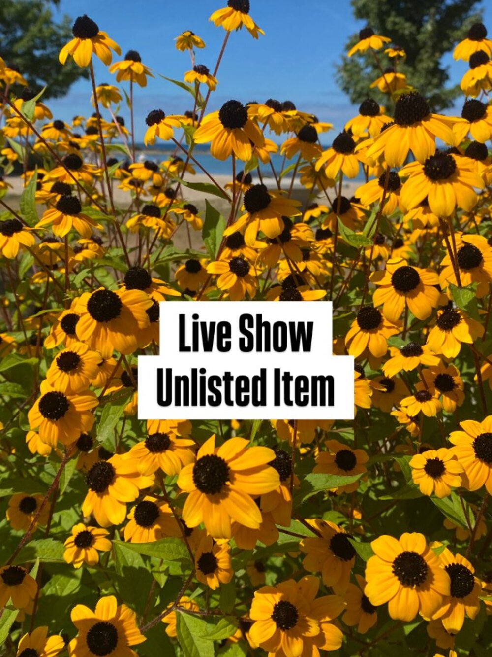 Live Show Unlisted Item